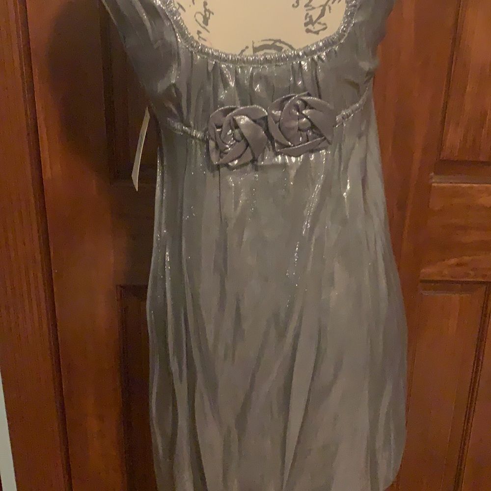 Silver Yoana Baraschi Dress - Picture 6 of 7